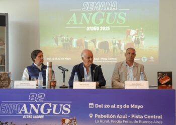 Los Angus se preparan para revolucionar Palermo con su semana de mayo