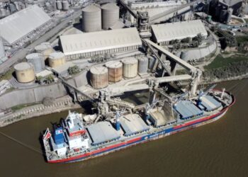 Crecieron un 11% las exportaciones agroindustriales