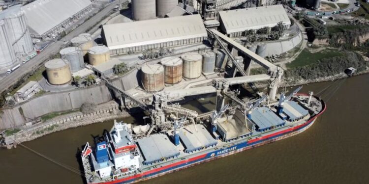 Crecieron un 11% las exportaciones agroindustriales