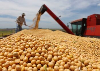 El norte argentino y un pedido claro: «Los derechos de exportación deben eliminarse»