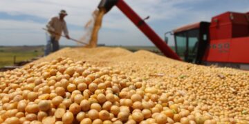El norte argentino y un pedido claro: «Los derechos de exportación deben eliminarse»