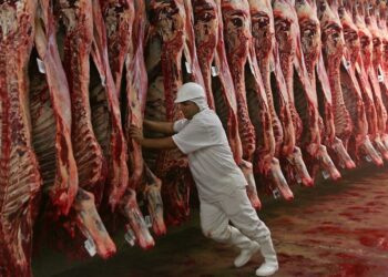 ¿Retoma la senda alcista?: la faena bovina cortó el tobogán y vuelve a aumentar la oferta de carne