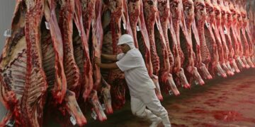 ¿Retoma la senda alcista?: la faena bovina cortó el tobogán y vuelve a aumentar la oferta de carne