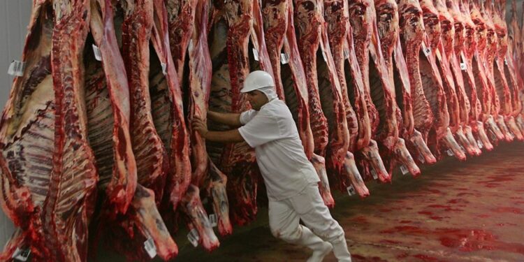 ¿Retoma la senda alcista?: la faena bovina cortó el tobogán y vuelve a aumentar la oferta de carne