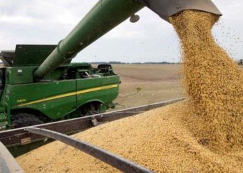 La noticia que esperaba el Gobierno: se activaron con fuerza las ventas de soja