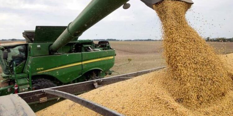 La noticia que esperaba el Gobierno: se activaron con fuerza las ventas de soja