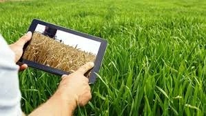 La Inteligencia Artificial puede reemplazar los ensayos a campo
