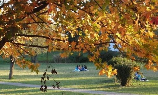 Las temperaturas no bajan en Tucumán y el otoño todavía no dio señales