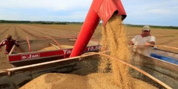 El campo, ante una de las mejores cosechas
