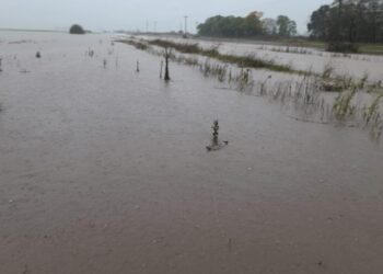 Inundaciones en el norte de Buenos Aires: hay casi 800 evacuados y las tormentas se “regeneran”
