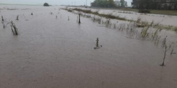 Inundaciones en el norte de Buenos Aires: hay casi 800 evacuados y las tormentas se “regeneran”