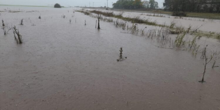 Inundaciones en el norte de Buenos Aires: hay casi 800 evacuados y las tormentas se “regeneran”