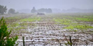 Productores en alerta ante la continuidad de las lluvias