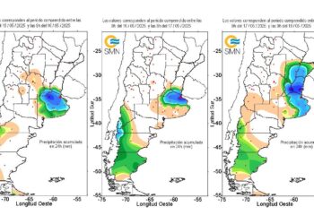 El impacto agrícola de las inundaciones: un golpe a una cosecha que podía ser la segunda mejor de la historia