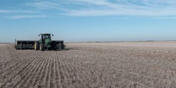 Comenzó la siembra de trigo: desde el Gobierno, proyectan un aumento del 6,2%