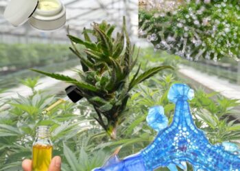 Ciencia aplicada al desarrollo de bioproductos a partir de la biodiversidad del NOA