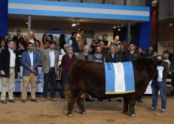 Expo Angus: “La genética como herramienta en los sistemas de producción siempre tiene que estar”