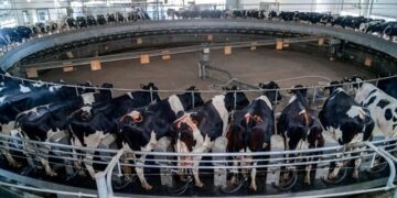 El país vuelve a integrar la Federación Mundial de Lechería