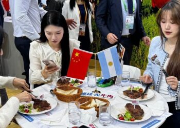 Una luz amarilla en las exportaciones de carne, que siguen cayendo: el riesgo de depender de China