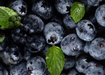 Menos requisitos para exportar frutas frescas a Brasil