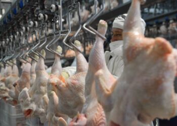 Reabrieron el mercado de Japón para la carne aviar argentina