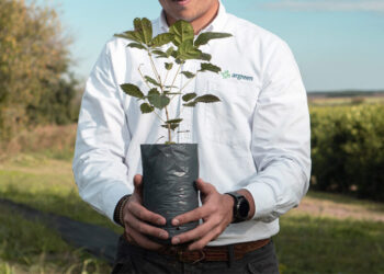 Desde Tucumán al mundo: la agroindustria y Argreen convierten granos en oportunidades globales