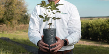 Desde Tucumán al mundo: la agroindustria y Argreen convierten granos en oportunidades globales