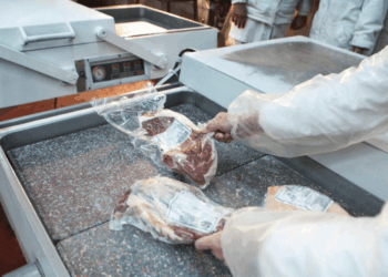 ¿Fin de la polémica?: con un estricto protocolo, el Senasa insiste en levantar la barrera sanitaria