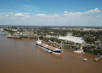 En mayo, la liquidación de divisas fue la mayor en dos años y 2025 sigue dentro del podio histórico