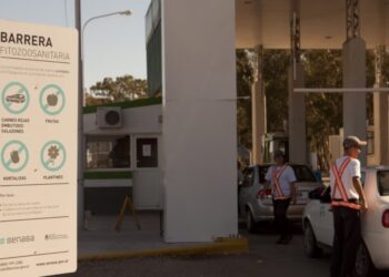 Flexibilización de la barrera sanitaria patagónica: tiempo de definiciones