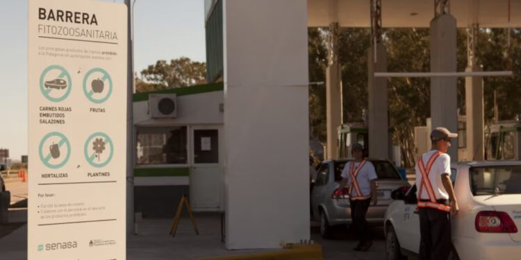 Flexibilización de la barrera sanitaria patagónica: tiempo de definiciones