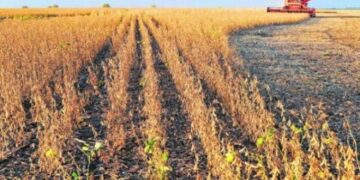 La cosecha de soja avanza al 90% y los rindes de algunas zonas superan las expectativas