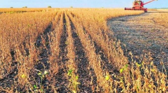 La cosecha de soja avanza al 90% y los rindes de algunas zonas superan las expectativas