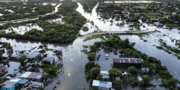 La FAO envía U$S 500.000 a Argentina para asistir a productores afectados por inundaciones y sequía