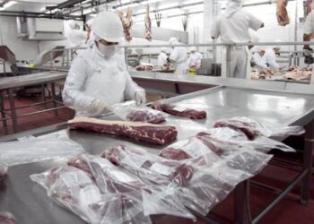 Se redujo la faena bovina