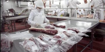 Se redujo la faena bovina