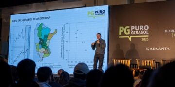El girasol no se pone límites e impulsa una expansión nacional desde Río Cuarto