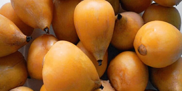 Un nuevo alimento “oficial”: incorporan los frutos de la palmera Yatay al Código Alimentario