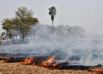La quema de caña ya no tiene justificación técnica ni productiva en la provincia