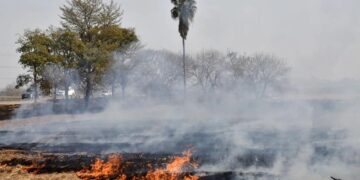 La quema de caña ya no tiene justificación técnica ni productiva en la provincia