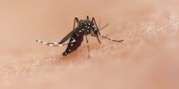 El avión agrícola, una herramienta estratégica contra el dengue