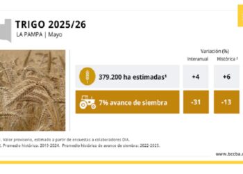 El perfil hídrico impulsa una mayor superficie de trigo en La Pampa