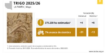 El perfil hídrico impulsa una mayor superficie de trigo en La Pampa