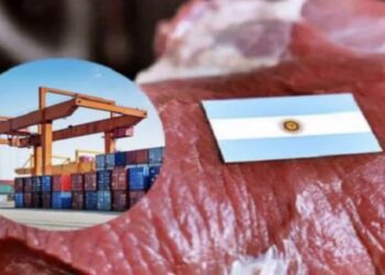 Carne vacuna: exportaciones en baja, pero precios en alza