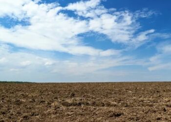 ¿Cómo están las reservas de humedad en el campo y qué dice el pronóstico del tiempo?