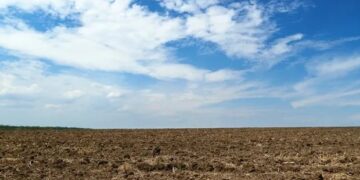 ¿Cómo están las reservas de humedad en el campo y qué dice el pronóstico del tiempo?