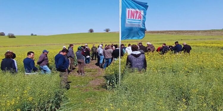 Mientras se demora el decreto “reestructurador”, el INTA cosecha más apoyos del ruralismo