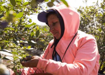 Trabajadores rurales: la prestación por desempleo vuelve a subir en julio y le gana a la inflación