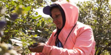 Trabajadores rurales: la prestación por desempleo vuelve a subir en julio y le gana a la inflación