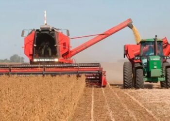 «El norte no da más»: APRONOR exige al gobierno eliminar las retenciones para evitar el colapso productivo